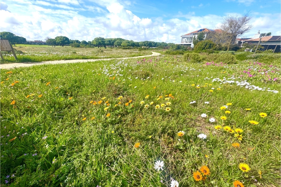 0 Bedroom Property for Sale in Langebaan Country Estate Western Cape